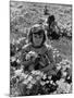 Children Playing in a Field of Wildflowers-J^ R^ Eyerman-Mounted Photographic Print