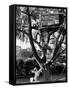 Children Playing in a Treehouse-Arthur Schatz-Framed Stretched Canvas