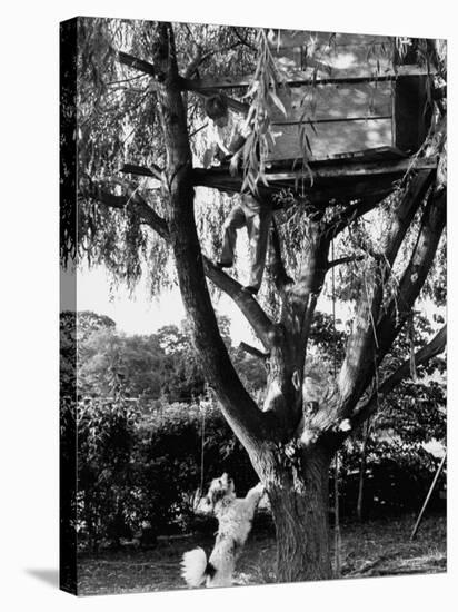 Children Playing in a Treehouse-Arthur Schatz-Stretched Canvas