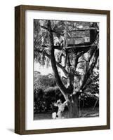 Children Playing in a Treehouse-Arthur Schatz-Framed Photographic Print