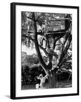 Children Playing in a Treehouse-Arthur Schatz-Framed Photographic Print