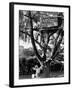 Children Playing in a Treehouse-Arthur Schatz-Framed Photographic Print