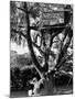Children Playing in a Treehouse-Arthur Schatz-Mounted Photographic Print