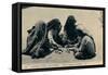 Children Playing in the Street, Egypt-null-Framed Stretched Canvas