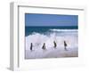 Children Playing in the Surf, Near Gosford, New South Wales, Australia-Ken Wilson-Framed Photographic Print