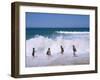 Children Playing in the Surf, Near Gosford, New South Wales, Australia-Ken Wilson-Framed Photographic Print