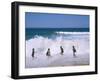 Children Playing in the Surf, Near Gosford, New South Wales, Australia-Ken Wilson-Framed Photographic Print