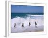 Children Playing in the Surf, Near Gosford, New South Wales, Australia-Ken Wilson-Framed Photographic Print