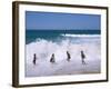 Children Playing in the Surf, Near Gosford, New South Wales, Australia-Ken Wilson-Framed Photographic Print