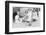 Children playing on 61st Street, between 1st and 3rd Avenues, New York City, 1938-Walker Evans-Framed Photographic Print