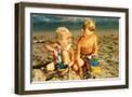 Brown Frame