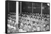 Children Praying before a Meal-null-Framed Stretched Canvas