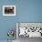 Children Read Together from Muslim's Holy Quran in Karachi, Pakistan-null-Framed Photographic Print displayed on a wall