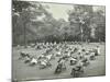 Children Resting in Deck Chairs, Bostall Woods Open Air School, London, 1907-null-Mounted Photographic Print