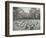 Children Resting in Deck Chairs, Bostall Woods Open Air School, London, 1907-null-Framed Photographic Print