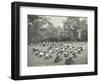 Children Resting in Deck Chairs, Bostall Woods Open Air School, London, 1907-null-Framed Photographic Print