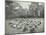 Children Resting in Deck Chairs, Bostall Woods Open Air School, London, 1907-null-Mounted Photographic Print