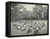 Children Resting in Deck Chairs, Bostall Woods Open Air School, London, 1907-null-Framed Stretched Canvas