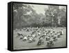 Children Resting in Deck Chairs, Bostall Woods Open Air School, London, 1907-null-Framed Stretched Canvas