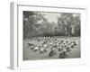 Children Resting in Deck Chairs, Bostall Woods Open Air School, London, 1907-null-Framed Premium Photographic Print