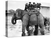 Children Ride on the Back of an Elephant at Belle Vue Manchester, May 1957-null-Stretched Canvas