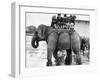 Children Ride on the Back of an Elephant at Belle Vue Manchester, May 1957-null-Framed Photographic Print