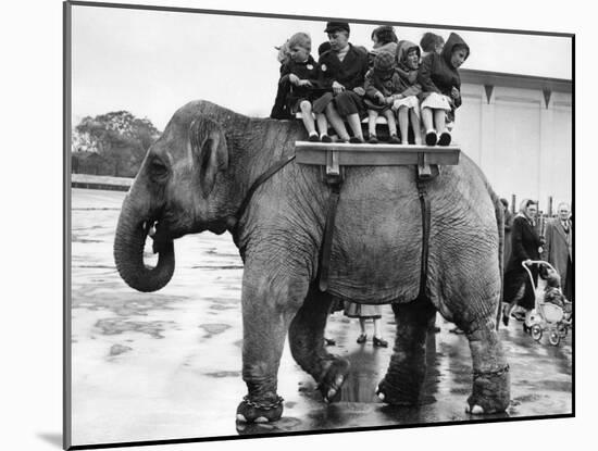 Children Ride on the Back of an Elephant at Belle Vue Manchester, May 1957-null-Mounted Photographic Print