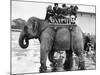 Children Ride on the Back of an Elephant at Belle Vue Manchester, May 1957-null-Mounted Photographic Print