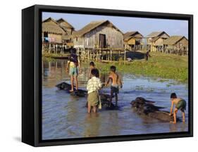 Children Riding Water Buffaloes, Inle Lake, Myanmar, Asia-Upperhall Ltd-Framed Stretched Canvas