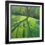 Children Running in the Park, Derby, 2002-Andrew Macara-Framed Giclee Print