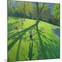 Children Running in the Park, Derby, 2002-Andrew Macara-Mounted Giclee Print