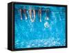 Children's and Adults Legs Underwater in the Swimming Pool-Kateryna Mostova-Framed Stretched Canvas