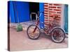 Children's Bicycle in Puerto Vallarta, The Colonial Heartland, Mexico-Tom Haseltine-Stretched Canvas