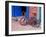 Children's Bicycle in Puerto Vallarta, The Colonial Heartland, Mexico-Tom Haseltine-Framed Photographic Print