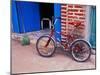 Children's Bicycle in Puerto Vallarta, The Colonial Heartland, Mexico-Tom Haseltine-Mounted Photographic Print