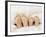 Children's Feet-Ian Boddy-Framed Photographic Print