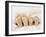 Children's Feet-Ian Boddy-Framed Photographic Print