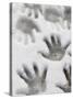 Children's Handprints in a Spring Snow-John Nordell-Stretched Canvas