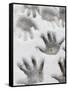 Children's Handprints in a Spring Snow-John Nordell-Framed Stretched Canvas