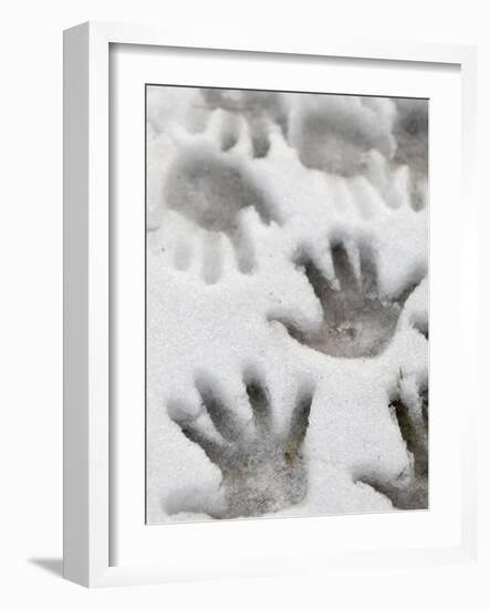 Children's Handprints in a Spring Snow-John Nordell-Framed Photographic Print