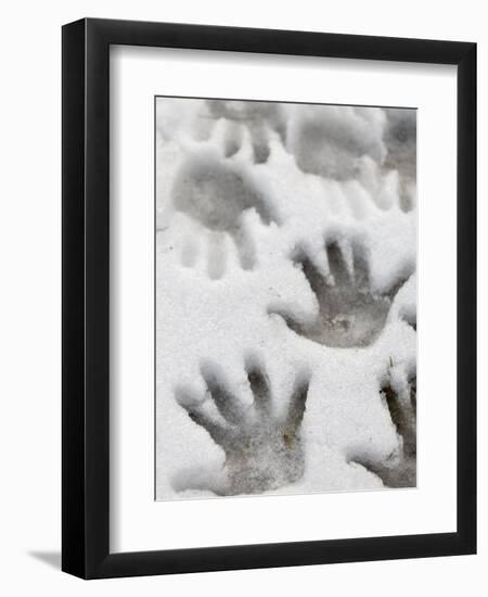 Children's Handprints in a Spring Snow-John Nordell-Framed Premium Photographic Print