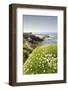 Children's Pool at La Jolla in Spring-Photo168-Framed Photographic Print