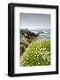 Children's Pool at La Jolla in Spring-Photo168-Framed Photographic Print