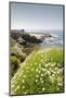 Children's Pool at La Jolla in Spring-Photo168-Mounted Photographic Print