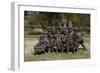 Children's Sculpture Park, University Of Alabama, Mobile, Alabama-Carol Highsmith-Framed Art Print