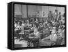 Children Sitting at their Desks in a Classroom, Teachers at the Rear of the Room-null-Framed Stretched Canvas