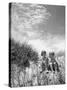 Children Sitting on a Sand Dune-Cornell Capa-Stretched Canvas