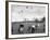 Children Trying to Catch Toys That Were Released by a Kite in the Air-Bernard Hoffman-Framed Photographic Print