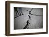 Children Walk Past a Crack Caused by the Earthquake in a Street in Port-Au-Prince-Carlos Barria-Framed Photographic Print