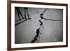 Children Walk Past a Crack Caused by the Earthquake in a Street in Port-Au-Prince-Carlos Barria-Framed Photographic Print